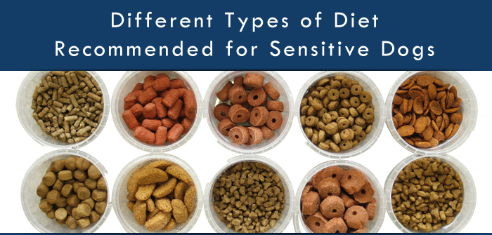 Different Types of Diet Recommended for Sensitive Dogs