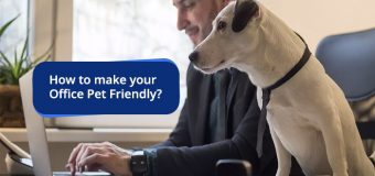 How to make your Office Pet Friendly?