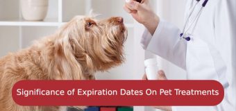 Significance of Expiration Dates On Pet Treatments