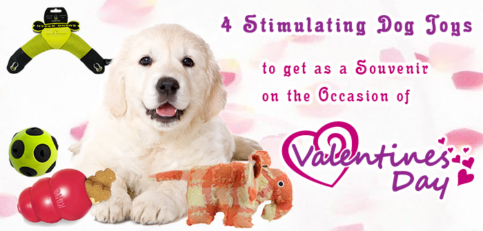 4 Stimulating Dog Toys to get as a Souvenir on the Occasion of Valentine’s Day