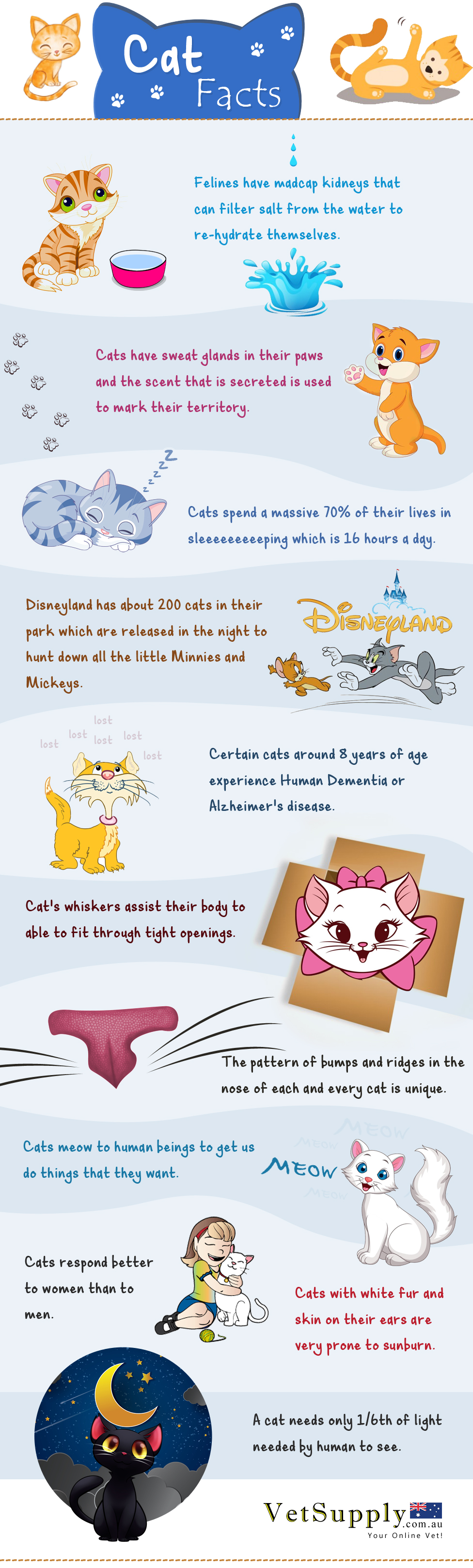 Some Bizarre Cat Facts that will Blow off your Mind