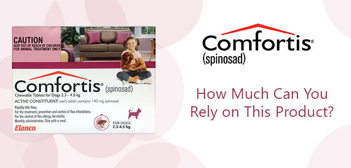 Comfortis – How Much Can You Rely on This Product?