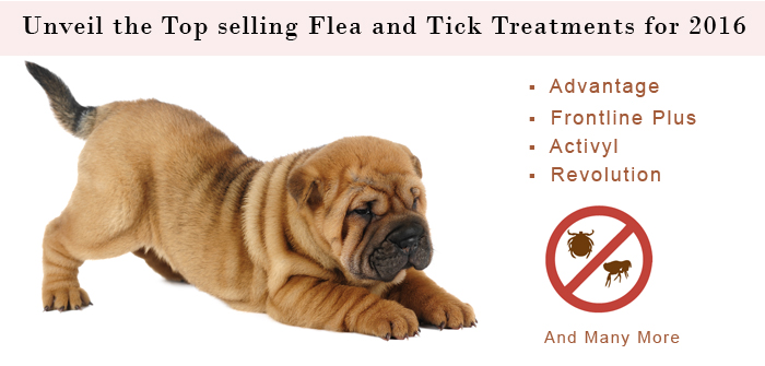 Unveil the Top-selling Flea and Tick Treatments for 2016