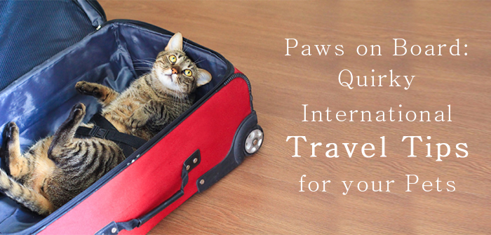 Paws on Board: Quirky International Travel Tips for your Pets
