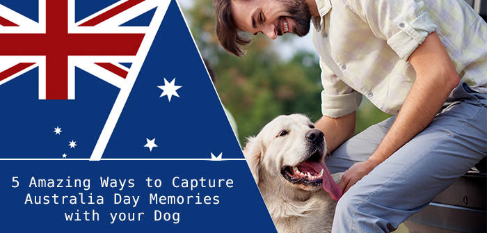 Amazing ways to capture Australia Day Memories with your Dog