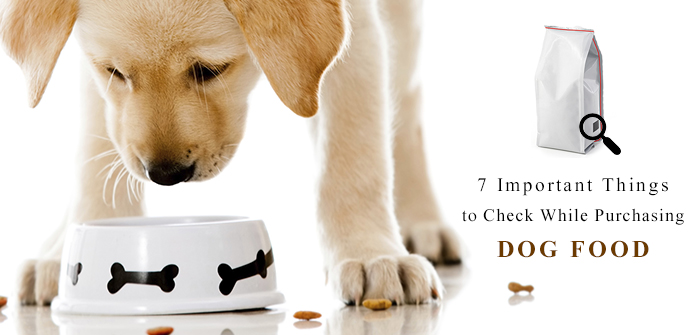 7 Important Things to Check While Purchasing Dog Food