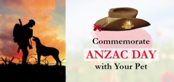 Commemorate Anzac Day with Your Pet