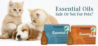 Essential Oils: Safe Or Not For Pets?