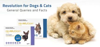 Revolution for Dogs & Cats – General Queries and Facts