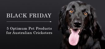 Black Friday-5 Optimum Pet Products for Australian Cricketers