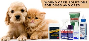 Wound Care Solutions For Dogs And Cats