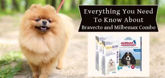 Everything You Need To Know About Bravecto and Milbemax Combo