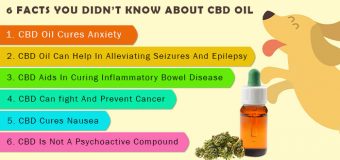 6 FACTS YOU DIDN’T KNOW ABOUT CBD OIL