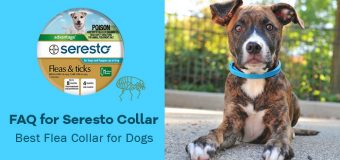 Frequently Asked Questions for Seresto Collar- Best Flea Collar for Dogs