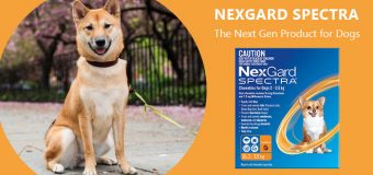 Nexgard Spectra Review – The Next Gen Product for Dogs