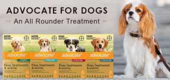 Advocate Review – An All Rounder Treatment for Dogs