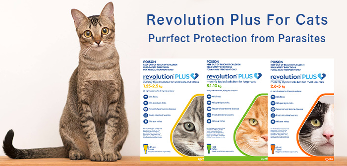 revolution-plus-6-in-1-vet-recommended-treatment