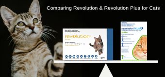 Comparing Revolution and Revolution Plus for Cats