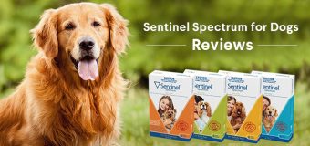 Sentinel Spectrum for Dogs – Reviews
