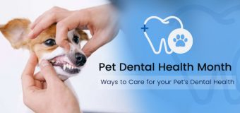 Pet Dental Health Month – Ways to Care for your Pet’s Dental Health