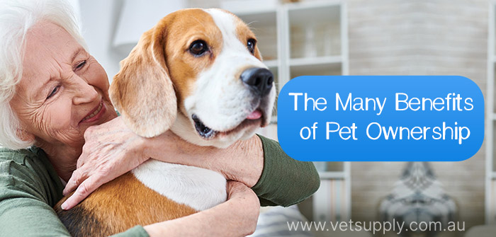 Many benefits of pet ownership