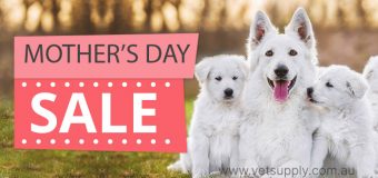 Mother’s Day Sale on Pet Supplies
