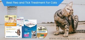 Best Flea and Tick Treatment For Cats