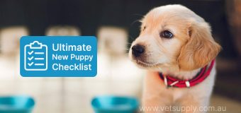 Ultimate New Puppy Checklist