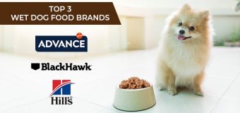 Top 3 Wet Dog Food Brands