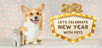 Let’s Celebrate New Year with Pets