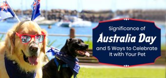 Significance of Australia Day and 5 Ways to Celebrate It with Your Pet
