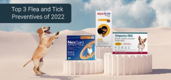 Top 3 Flea and Tick Preventives of 2022