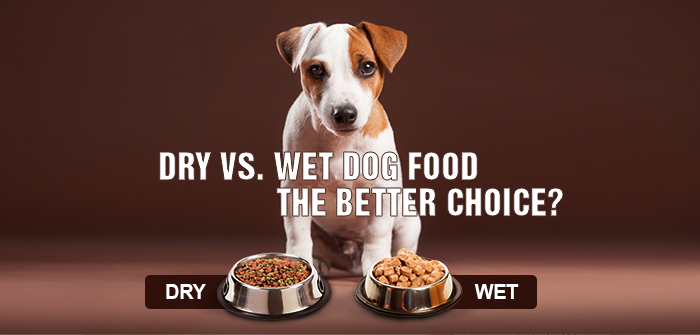 Dry vs. wet dog food