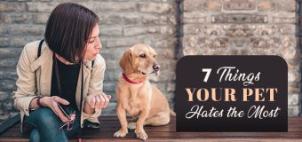 7 Things Your Pet Hates the Most