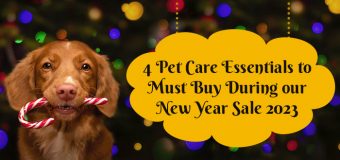 Pet Care Essentials YOU Must Buy During our New Year Sale 2023