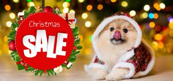 Special Christmas Sale for your Pets