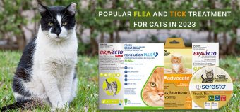 Top Flea and Tick Treatment for Cats in 2023