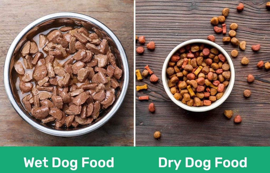 Dry Dog Food or Wet Dog Food