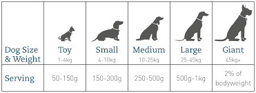 Dog size and food serving