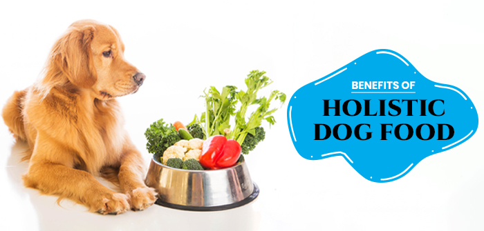Benefits of holistic dog food