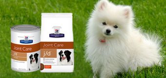 Dog Food Supplements for Better Mobility, Joint Health and Arthritis Pain
