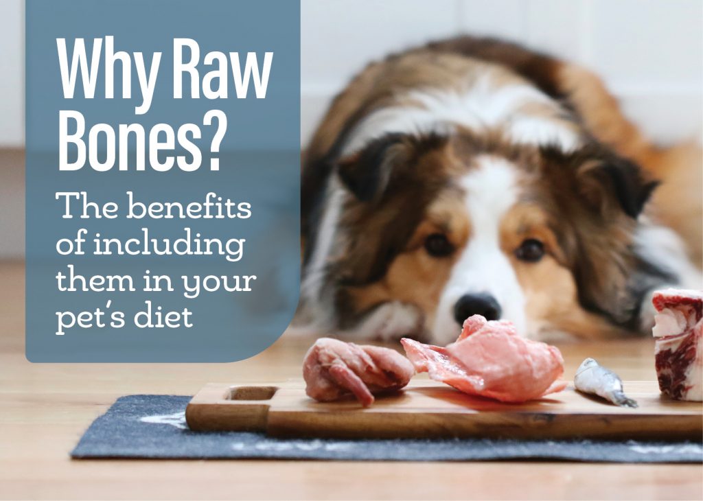 Provide Raw Bones And Diet Good For Teeth
