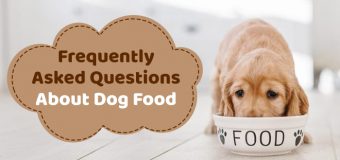 Frequently Asked Questions About Dog Food