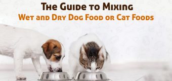 The Guide to Mixing Wet and Dry Dog Food or Cat Foods