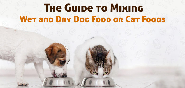 Guide to mix dry and wet pet food