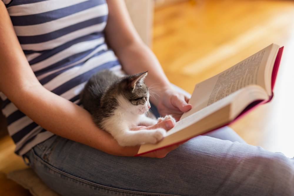 cat and human reading book