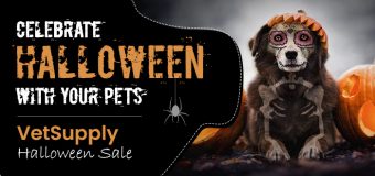 Celebrate Halloween with Your Pets: Up to 7% Discounts on Pet Food and Supplies