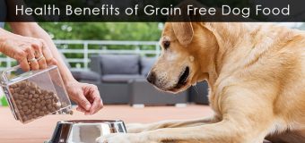 Health Benefits of Grain Free Dog Food