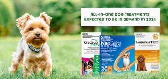 Top All-in-one Dog Treatments for 2024
