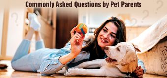 Commonly Asked Questions by Pet Parents
